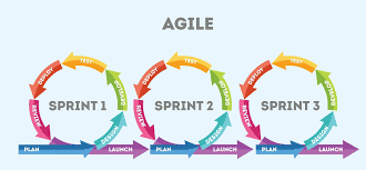 agile sw development