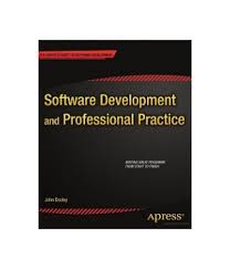 professional software development