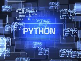 python software development