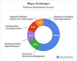 software development industry