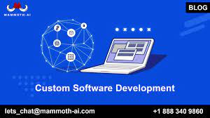 custom software programming