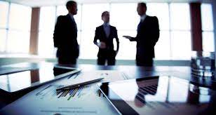 software engineer consultant