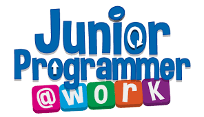 junior programmer