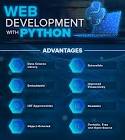 python web programming