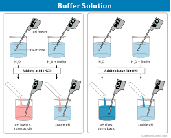 solution