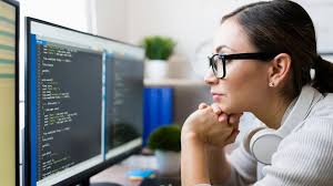 best software engineer