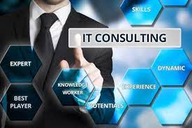 it business consultant