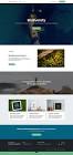 odoo website development