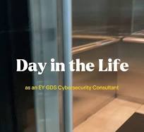 cybersecurity consultant