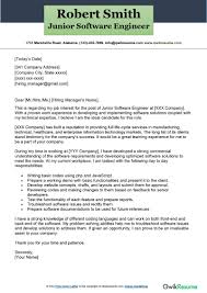 junior software engineer