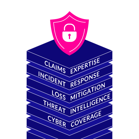 cyber services